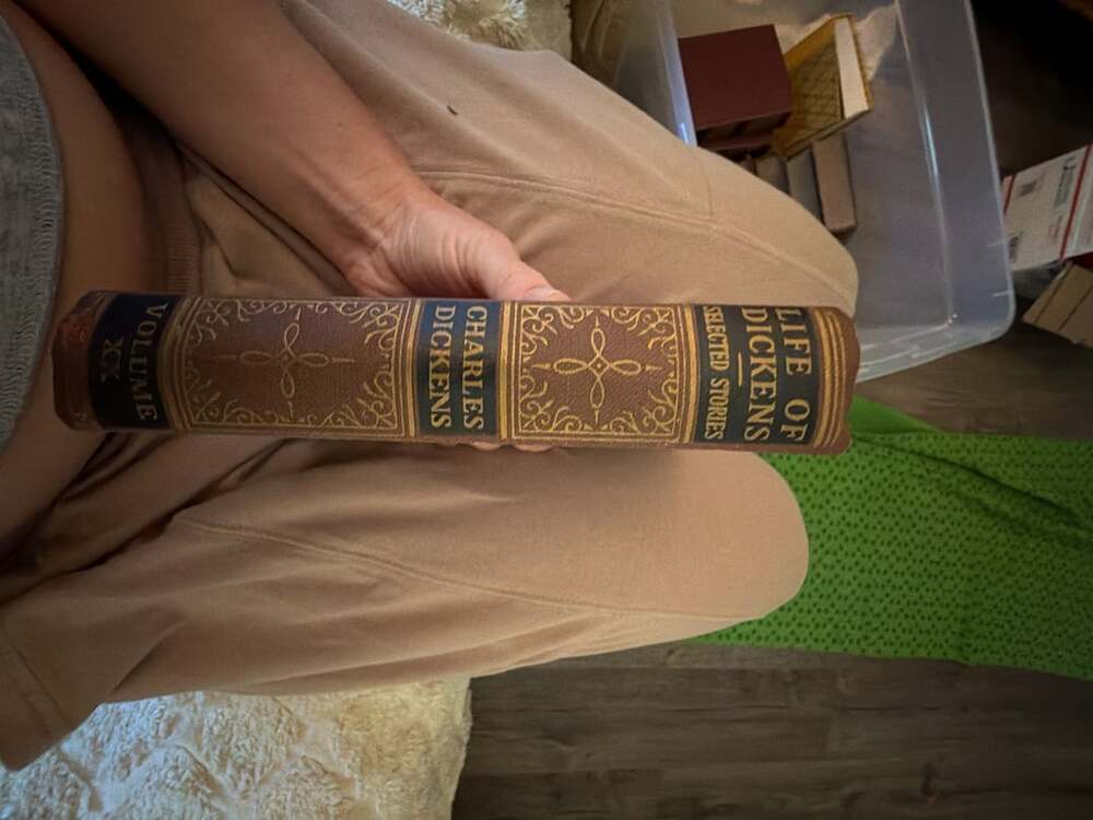 The Life of Charles Dickens Selected Stories Volume XX